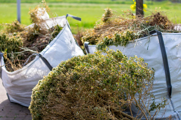 Best Recycling Services for Junk  in Brush Prairie, WA